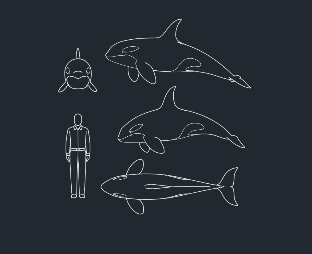 Orca (Killer Whale) DWG Blocks: Free AutoCAD Download