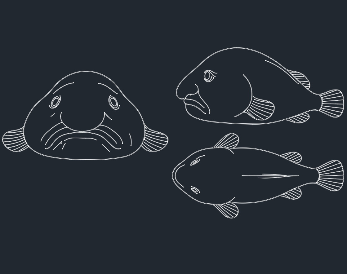 Blob Fish: Fascinating Facts, Habitat & DWG CAD Drawings