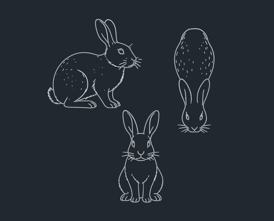 Free AutoCAD Bunny Blocks: Download DWG Files for CAD Design