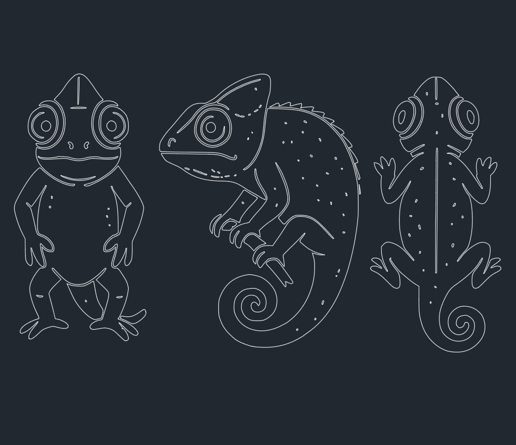 Chameleon Hatch Patterns for AutoCAD: Free DWG Download