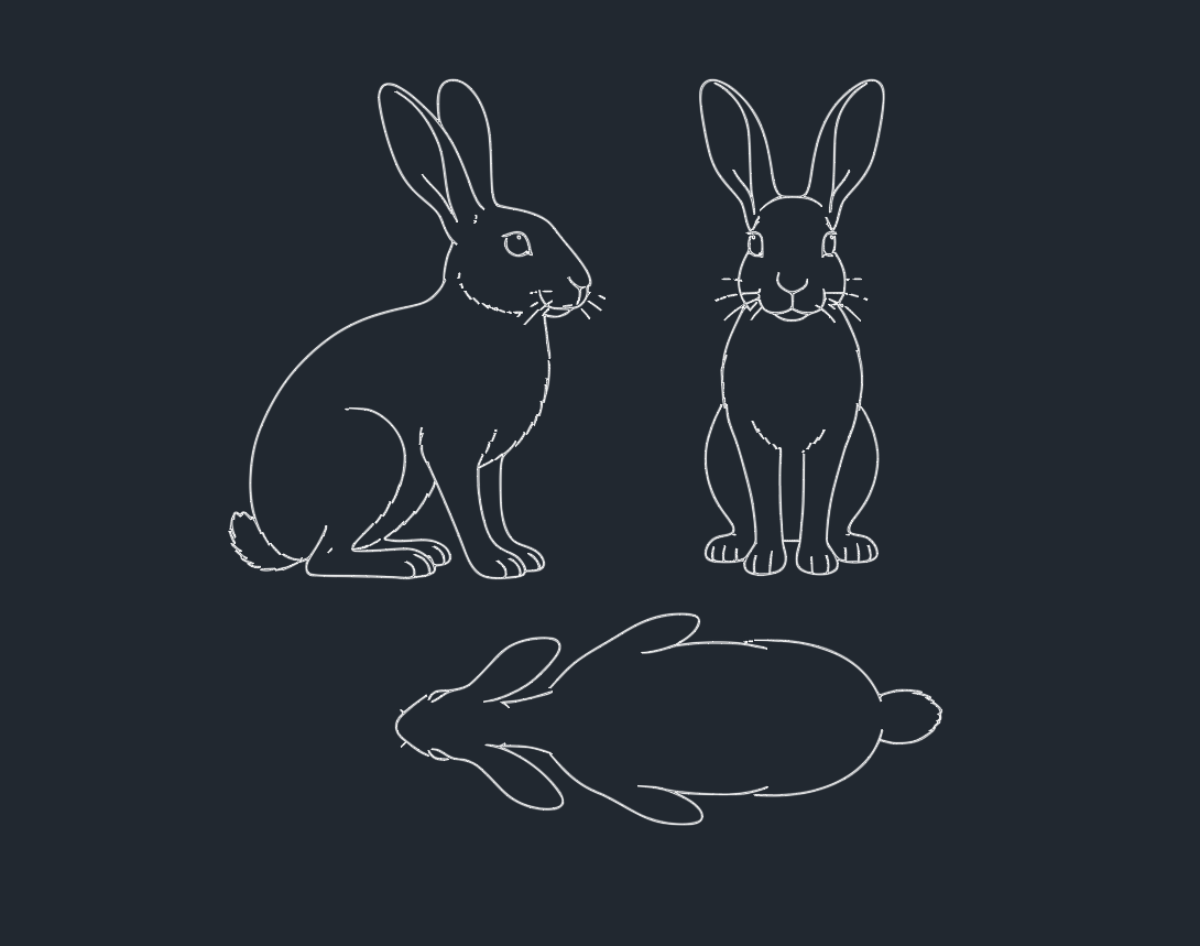 Top Free Hare DWG Files for AutoCAD: Download & Use Today
