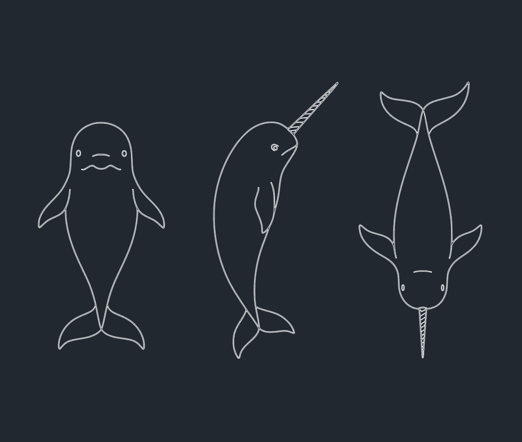Free Narwhal DWG Blocks: Download AutoCAD Narwhal Drawings