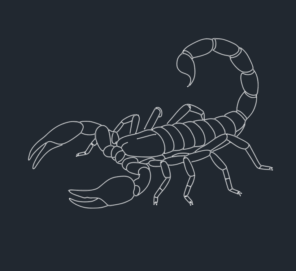 Download Free Scorpion DWG Blocks for AutoCAD Drawing